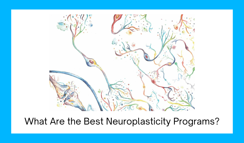 What Are the Best Neuroplasticity Programs?