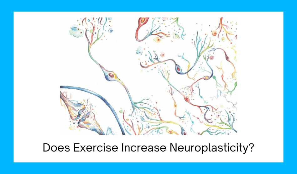 Does Exercise Increase Neuroplasticity?