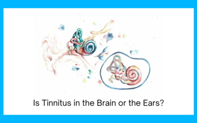 Is Tinnitus in the Brain or the Ears?